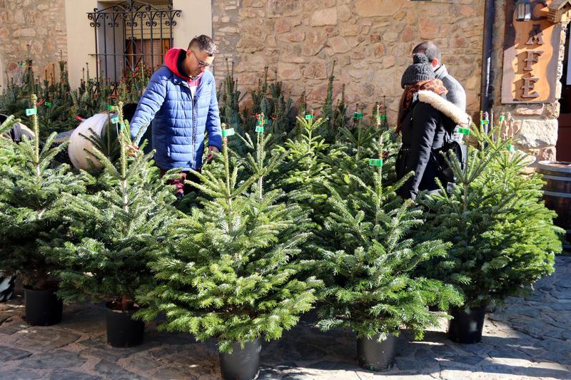 Tradition, festive atmosphere, and good value: the Fira de l&#39;Avet <strong>Christmas tree market</strong>