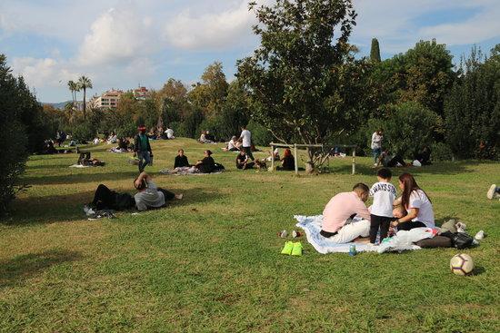 Barcelona to stop irrigating gardens and parks due to drought